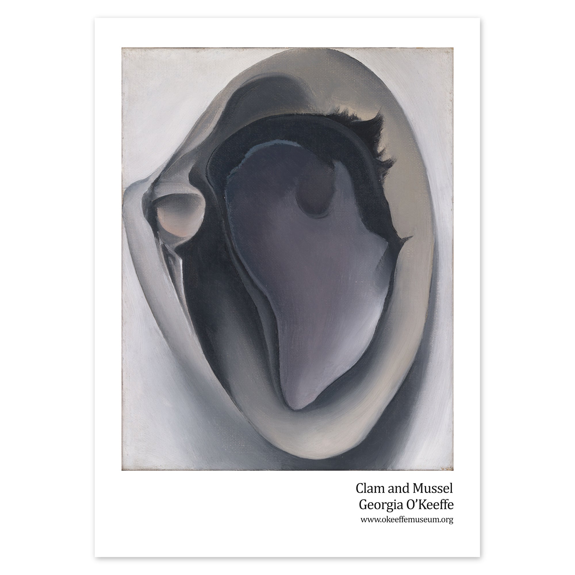 Georgia O'Keeffe Poster - Clam and Mussel