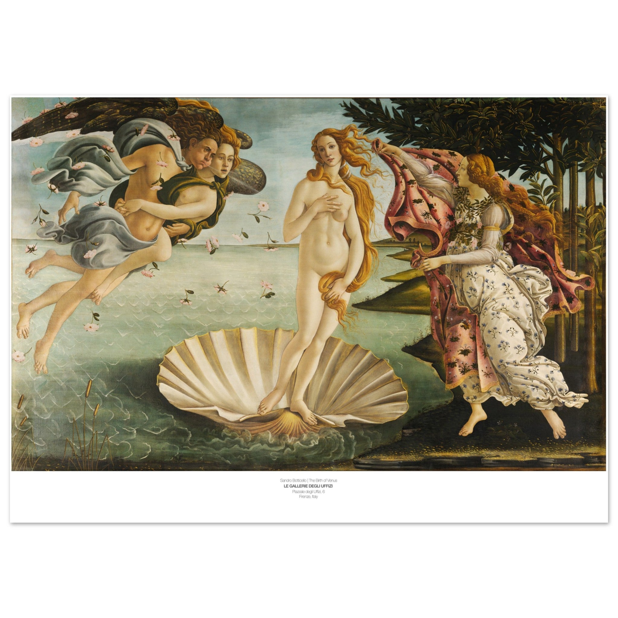Sandro Botticelli Poster - The Birth Of Venus
