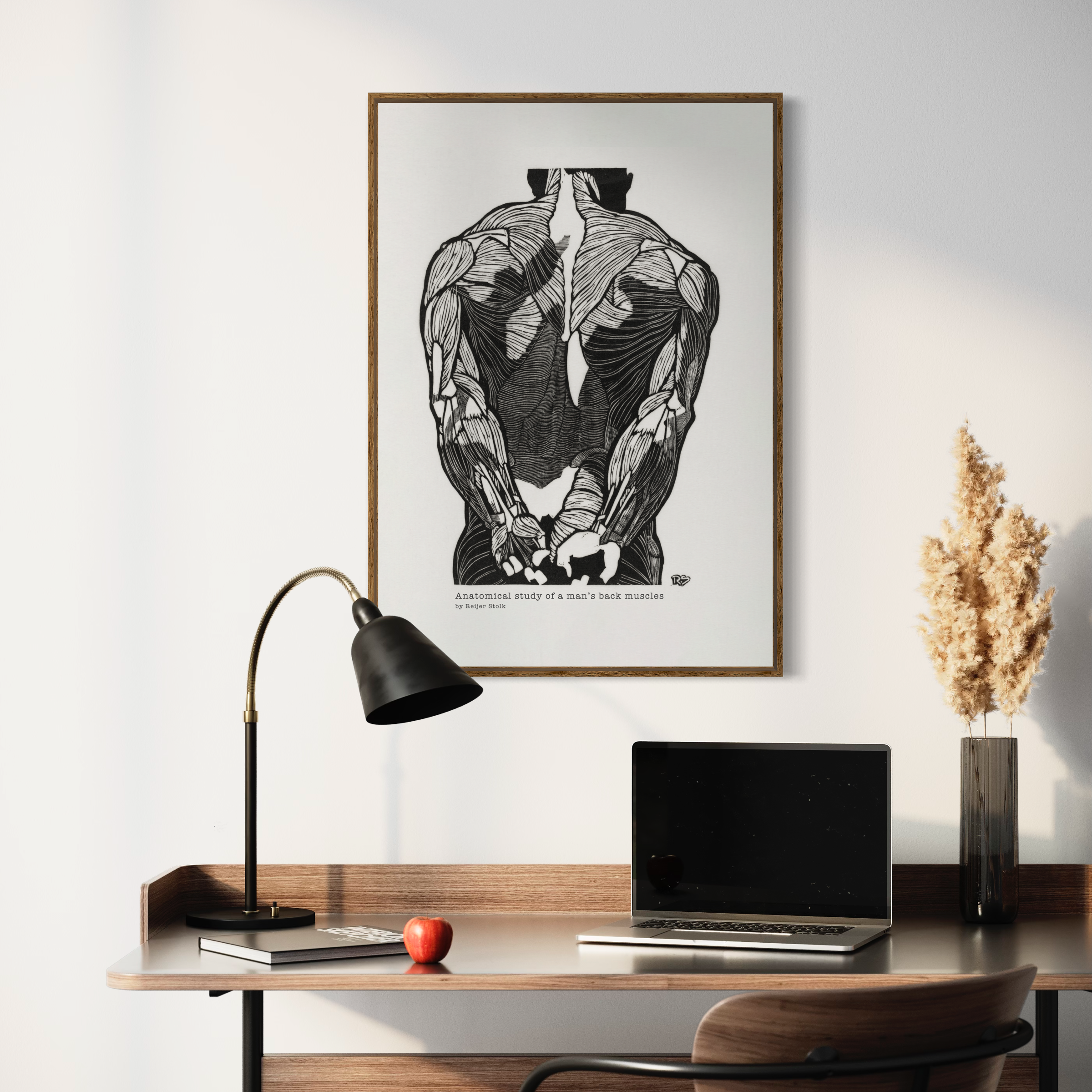 Reijer Stolk Poster - Anatomical study of a man's back muscles No 1