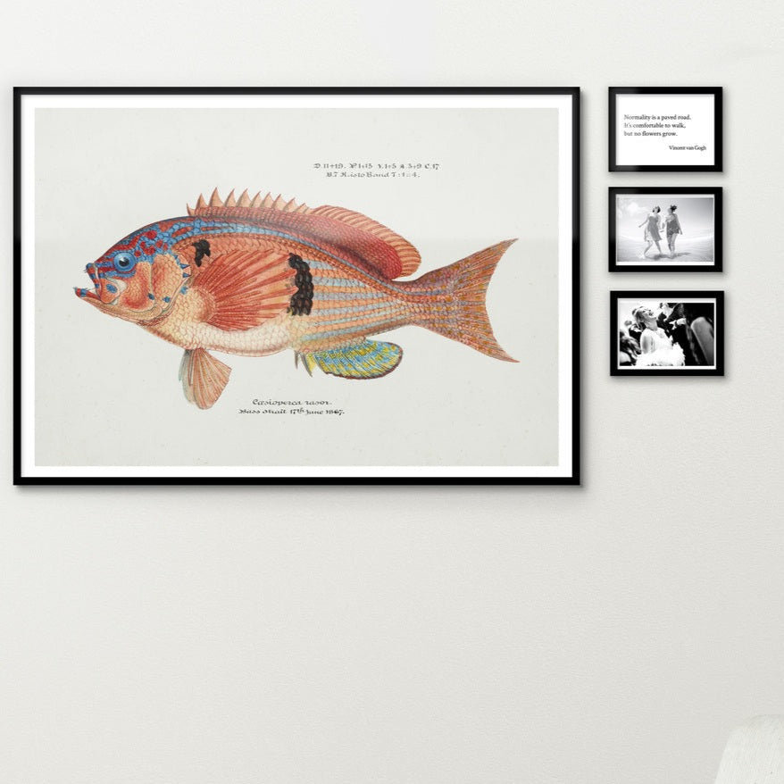 Antique Barber Perch Poster. Poster. Classic illustration of a barber perch. Preview