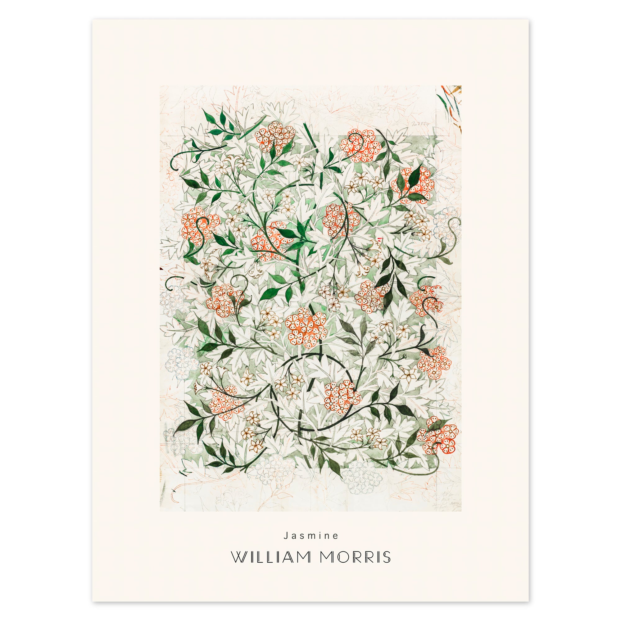 William Morris Poster - Jasmine