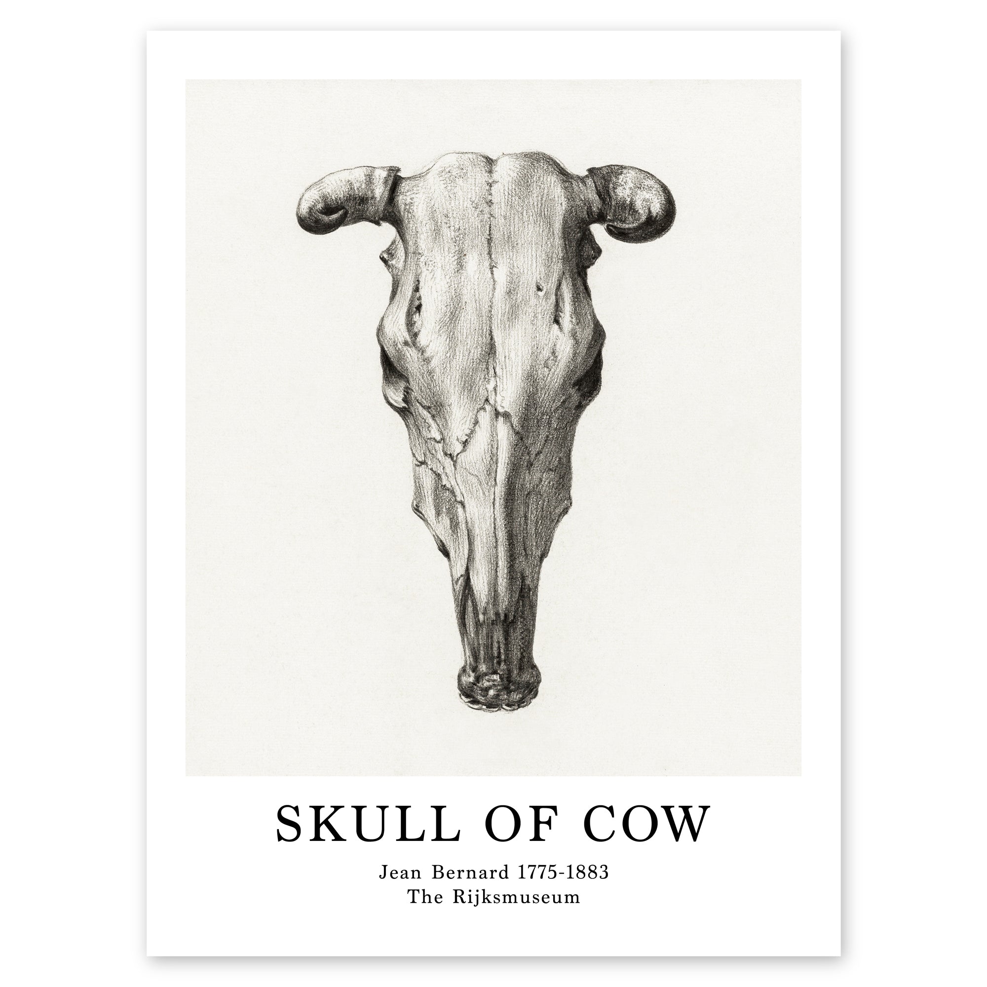 Jean Bernard Poster - Skull of Cow