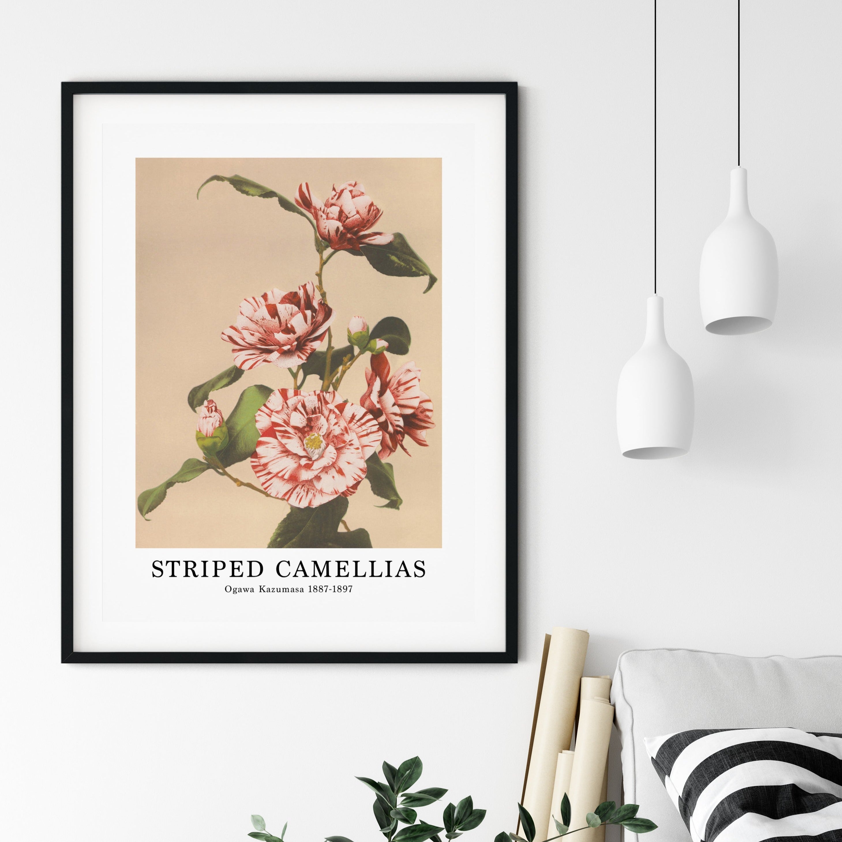 Ogawa Kazumasa Poster - Striped Camellias