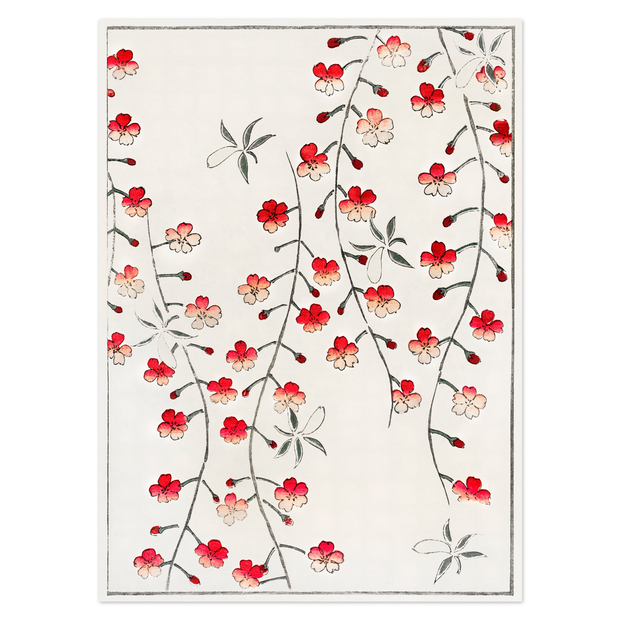 Watanabe Seitei Poster - Cherry Blossom