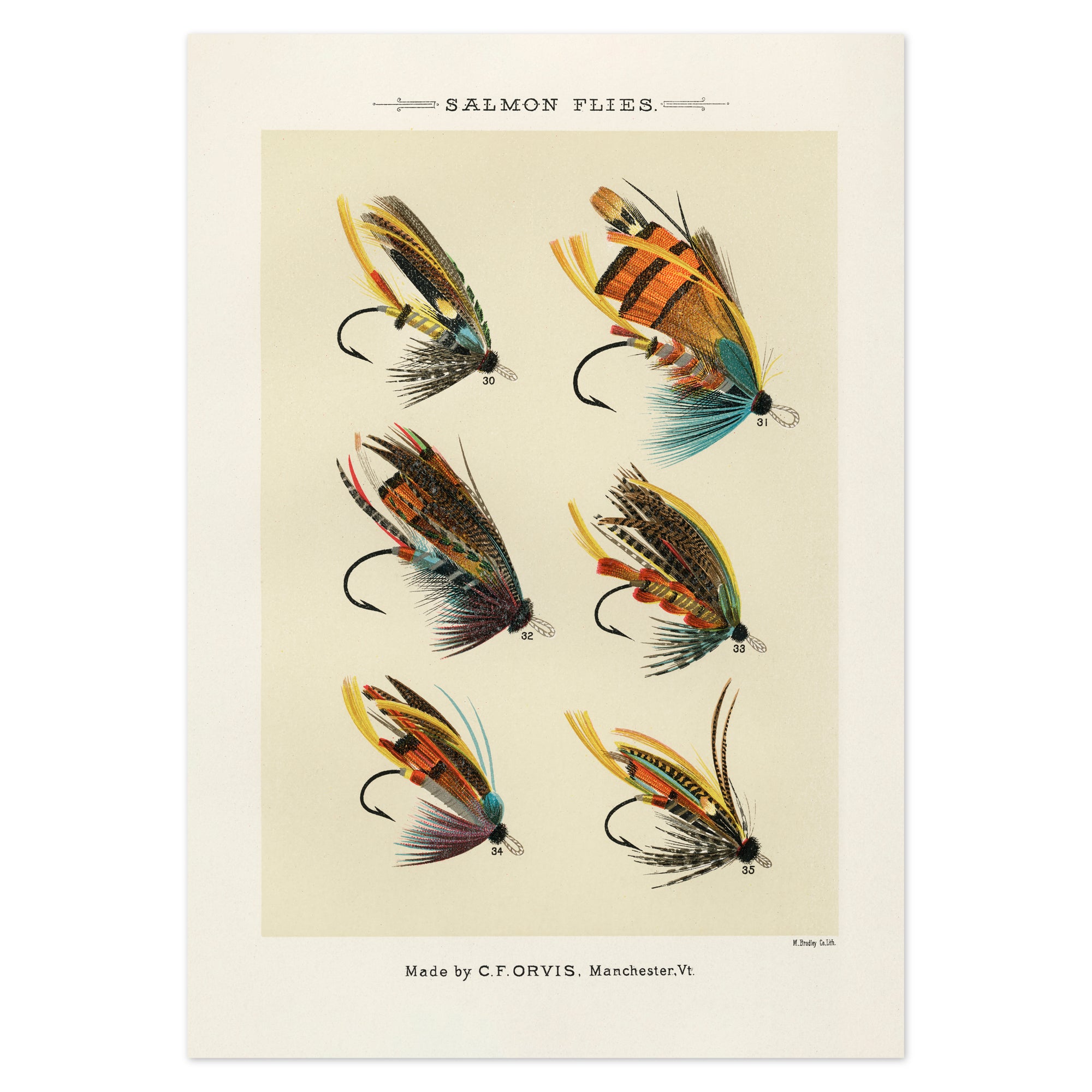 Poster. Illustration with six different fishing lures