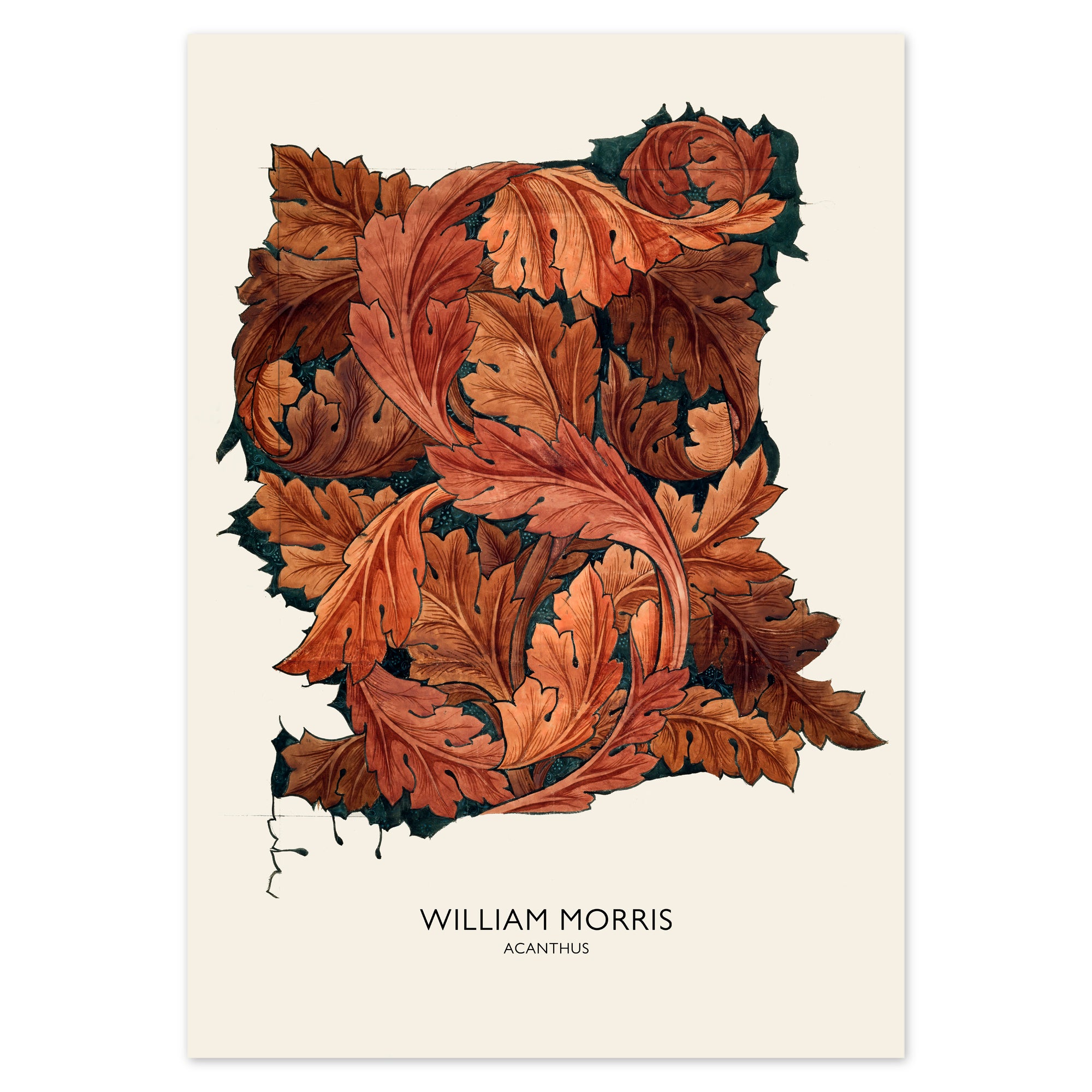 William Morris Poster - Acanthus